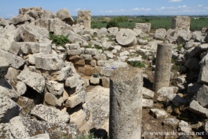 Temple de Zeus (G), Sélinonte