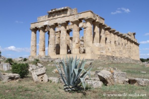 Temple d'Héra (E), Sélinonte