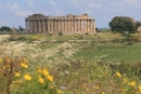 Temple E de Sélinonte