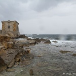 Trapani
