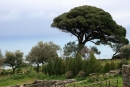 Tyndaris, capo e parco archaeologico