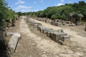 Route de l'acropole, Sélinonte