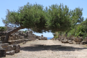 Route sur l'acropole, Sélinonte