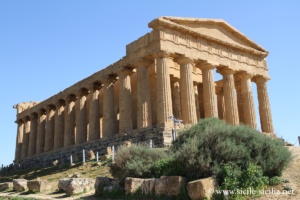 Photo du Temple de la Concorde de la vallée des Temples d'Agrigente
