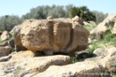 agrigento-tempio-di-zeus-027