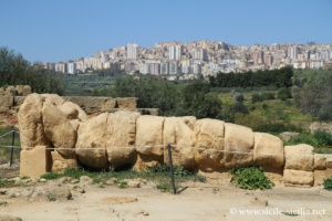 agrigento-tempio-di-zeus-028