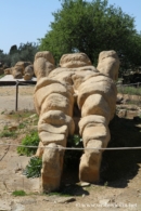 agrigento-tempio-di-zeus-032