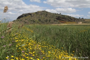 Site archéologique de Palikè