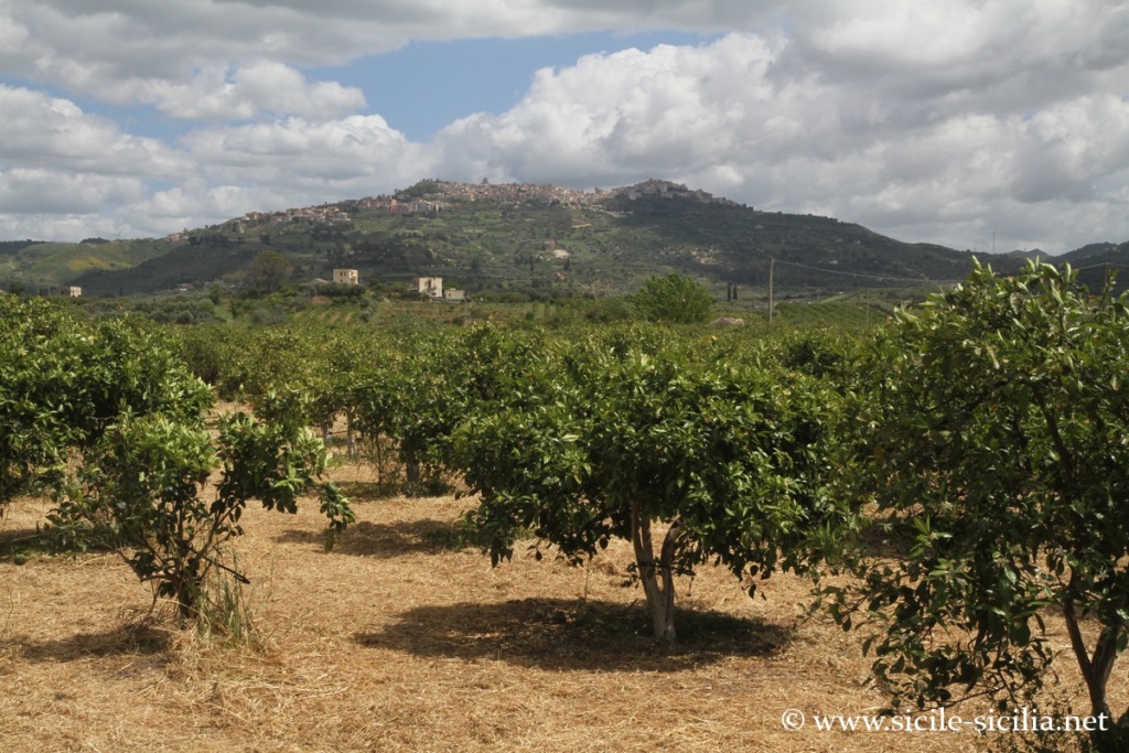 Panorama vers Mineo