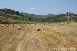 Route entre Enna et Leonforte